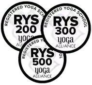 Rys 200, Rys 300, Rys 500 in India